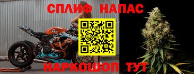 индика Гусиноозёрск