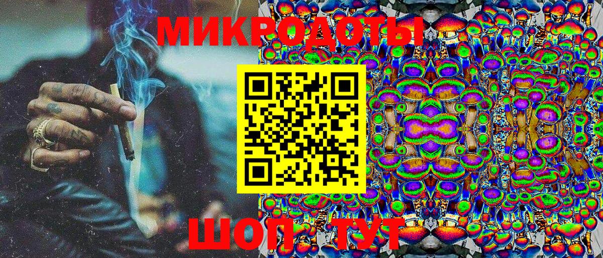 Галлюциногенные грибы Psilocybe Малгобек