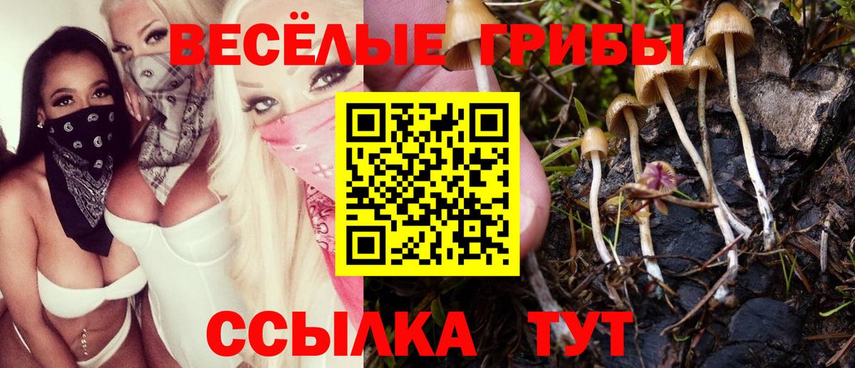 как найти   Вход с VPN  Малгобек  Псилоцибиновые грибы MAGIC MUSHROOMS 